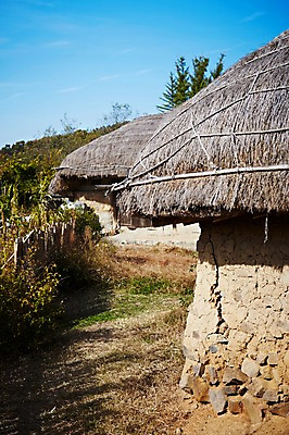 포토 JPG 주간 나무 식물 한국문화 한국전통 전통 건축물 계절 아시아 전통문화 문화 단풍 고건축 한국건축 자연 단풍나무 한국 초가집 풍경 사람없음 야외 관광지 울타리 가을풍경 동양건축 문화재 가을 경주 경상북도 경상도 민속마을 양동마을 국내포토 자연요소 동양문화 건축 나라 여행 잎 한옥 담장 경주_경상북도 생태계 파일형식 동양 가을_계절