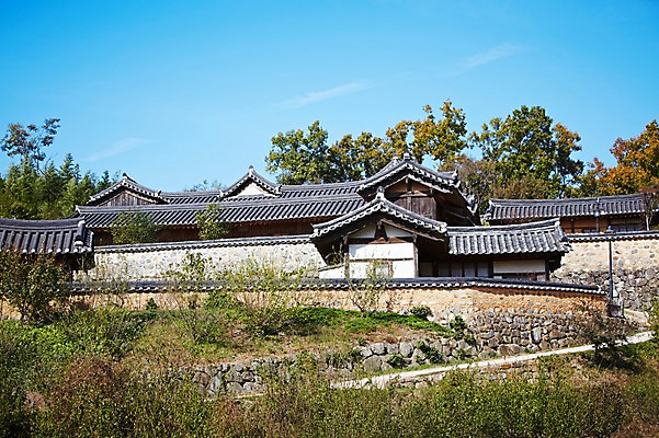 포토 JPG 주간 나무 식물 한국문화 한국전통 전통 건축물 계절 아시아 전통문화 문화 단풍 고건축 한국건축 자연 단풍나무 한국 기와집 풍경 사람없음 야외 관광지 담장 가을풍경 동양건축 문화재 가을 경주 경상북도 경상도 민속마을 양동마을 국내포토 자연요소 동양문화 건축 나라 여행 잎 한옥 경주_경상북도 생태계 파일형식 동양 가을_계절