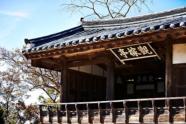 포토 JPG 주간 나무 식물 한국문화 한국전통 전통 건축물 계절 아시아 전통문화 문화 단풍 고건축 한국건축 자연 단풍나무 한국 기와집 풍경 사람없음 야외 관광지 가을풍경 동양건축 문화재 가을 경주 경상북도 경상도 관가정 민속마을 양동마을 국내포토 자연요소 동양문화 건축 나라 여행 잎 한옥 경주_경상북도 생태계 파일형식 동양 가을_계절