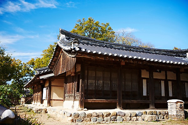 포토 JPG 주간 나무 식물 한국문화 한국전통 전통 건축물 계절 아시아 전통문화 문화 고건축 한국건축 자연 한국 기와집 풍경 사람없음 야외 관광지 가을풍경 동양건축 문화재 가을 경주 경상북도 경상도 민속마을 서백당 양동마을 국내포토 자연요소 동양문화 건축 나라 여행 한옥 경주_경상북도 생태계 파일형식 동양 가을_계절