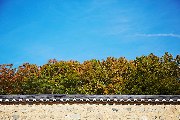 포토 JPG 주간 나무 식물 한국문화 한국전통 전통 건축물 계절 아시아 전통문화 문화 단풍 고건축 한국건축 자연 단풍나무 한국 풍경 사람없음 야외 관광지 담장 가을풍경 동양건축 문화재 가을 경주 경상북도 경상도 민속마을 양동마을 국내포토 자연요소 동양문화 건축 나라 여행 잎 경주_경상북도 생태계 파일형식 동양 가을_계절