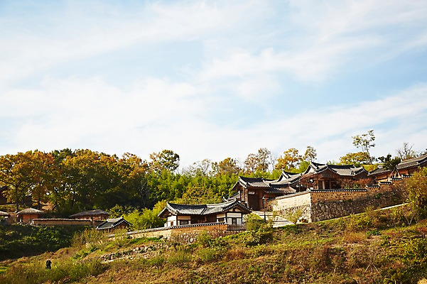 포토 JPG 주간 나무 식물 한국문화 한국전통 전통 건축물 계절 아시아 전통문화 문화 단풍 고건축 한국건축 자연 단풍나무 한국 기와집 풍경 사람없음 야외 관광지 가을풍경 동양건축 문화재 가을 경주 경상북도 경상도 민속마을 양동마을 국내포토 자연요소 동양문화 건축 나라 여행 잎 한옥 경주_경상북도 생태계 파일형식 동양 가을_계절