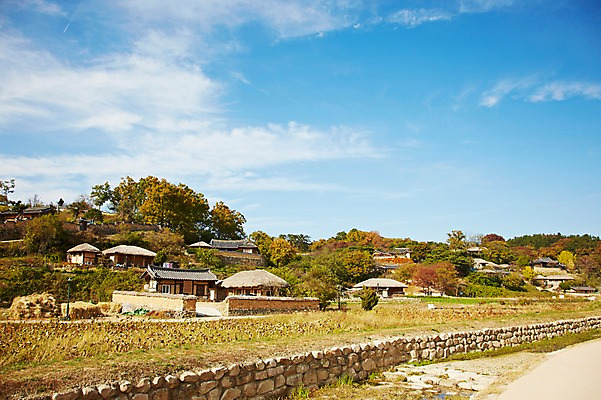 포토 JPG 주간 나무 식물 한국문화 한국전통 전통 건축물 계절 아시아 전통문화 문화 단풍 고건축 한국건축 자연 단풍나무 한국 초가집 기와집 풍경 사람없음 야외 관광지 담장 마을 가을풍경 동양건축 문화재 가을 경주 경상북도 경상도 민속마을 양동마을 국내포토 자연요소 동양문화 건축 나라 여행 잎 한옥 경주_경상북도 생태계 파일형식 동양 가을_계절