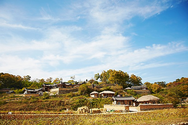 포토 JPG 주간 나무 식물 한국문화 한국전통 전통 건축물 계절 아시아 전통문화 문화 단풍 고건축 한국건축 자연 단풍나무 한국 초가집 기와집 풍경 사람없음 야외 관광지 마을 가을풍경 동양건축 문화재 가을 경주 경상북도 경상도 민속마을 양동마을 국내포토 자연요소 동양문화 건축 나라 여행 잎 한옥 경주_경상북도 생태계 파일형식 동양 가을_계절
