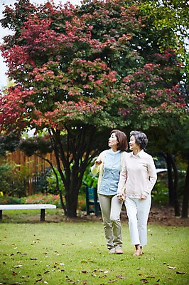 포토 JPG 주간 전신 나무 식물 라이프스타일 응시 계절 여자 노년 딸 할머니 단풍 낙엽 벤치 의자 가족 모녀 엄마 휴식 대가족 서기 사람 동양인 잔디 성인 야외 두명 아웃포커스 30대 부모 걷기 정원 손잡기 산책 한국인 가을 자녀 가족라이프 60대 며느리 상쾌 시어머니 전원생활 여자만 국내포토 자연요소 시선 감정 가구 컨셉 잎 관계 모션 촬영기법 인종 생활 장년 파일형식 시부모님