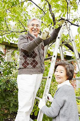 포토 JPG 주간 나무 식물 라이프스타일 부부 커플 여자 노년 남자 장갑 사다리 주택 가위 미소 웃음 사람 동양인 야외 두명 옆모습 실버라이프 정원 노부부 한국인 가족라이프 60대 상쾌 조경 정원가꾸기 전원생활 가지치기 노인만 국내포토 자연요소 잡화 감정 뷰포인트 가족 관계 문구용품 표정 인종 성인 건물 생활 도구 원예 성인만 파일형식
