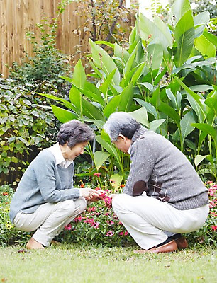 포토 JPG 주간 전신 식물 라이프스타일 부부 커플 여자 노년 남자 꽃 사람 앉기 동양인 잔디 야외 두명 옆모습 실버라이프 정원 노부부 한국인 가족라이프 60대 상쾌 조경 정원가꾸기 전원생활 노인만 국내포토 자연요소 감정 뷰포인트 가족 관계 모션 인종 성인 생활 원예 성인만 파일형식