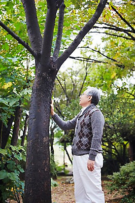 포토 JPG 주간 나무 식물 라이프스타일 계절 할아버지 노년 남자 휴식 한명 서기 사람 야외 옆모습 아웃포커스 산책 만지기 한국인 가을 60대 숲 상쾌 전원생활 노인만 노인남자만 노인남자한명만 국내포토 자연요소 1 감정 뷰포인트 컨셉 모션 촬영기법 동양인 성인 생활 남자만 남자한명만 성인만 파일형식