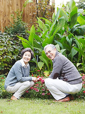 포토 JPG 주간 전신 식물 라이프스타일 부부 커플 여자 노년 남자 꽃 미소 웃음 사람 앉기 동양인 잔디 야외 두명 옆모습 실버라이프 정원 노부부 한국인 가족라이프 60대 상쾌 조경 정원가꾸기 전원생활 노인만 국내포토 자연요소 감정 뷰포인트 가족 관계 모션 표정 인종 성인 생활 원예 성인만 파일형식