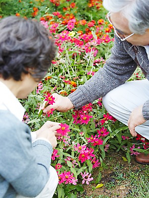 포토 JPG 주간 식물 라이프스타일 부부 커플 여자 노년 남자 꽃 꽃밭 사람 앉기 동양인 잔디 야외 두명 옆모습 아웃포커스 실버라이프 정원 노부부 한국인 가족라이프 60대 상쾌 조경 정원가꾸기 전원생활 노인만 국내포토 자연요소 감정 뷰포인트 가족 관계 모션 촬영기법 인종 성인 생활 원예 성인만 파일형식