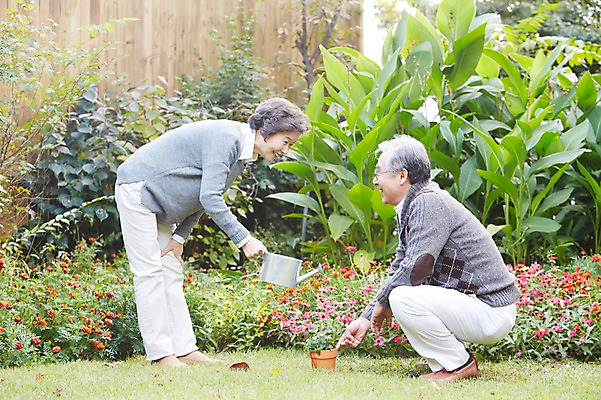 포토 JPG 주간 전신 식물 라이프스타일 부부 커플 여자 노년 남자 꽃 화분 서기 미소 웃음 사람 앉기 동양인 잔디 야외 두명 옆모습 실버라이프 울타리 담장 마주보기 정원 노부부 물뿌리개 한국인 가족라이프 60대 물주기 상쾌 조경 정원가꾸기 전원생활 노인만 국내포토 자연요소 감정 뷰포인트 가족 관계 모션 표정 인종 성인 생활 원예 성인만 파일형식