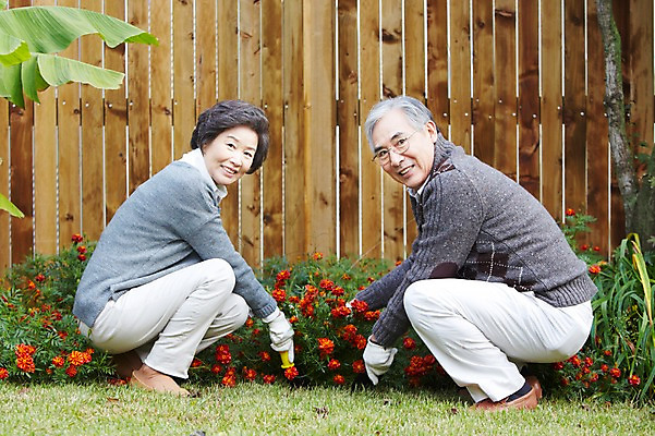 포토 JPG 주간 전신 식물 라이프스타일 부부 커플 여자 노년 남자 꽃 장갑 미소 웃음 사람 앉기 동양인 잔디 야외 두명 옆모습 실버라이프 울타리 담장 정원 노부부 한국인 가족라이프 60대 모종삽 상쾌 조경 정원가꾸기 전원생활 노인만 국내포토 자연요소 잡화 감정 뷰포인트 가족 관계 모션 표정 인종 성인 생활 삽 원예 성인만 파일형식