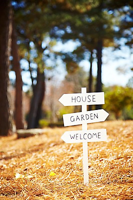 포토 JPG 주간 나무 식물 계절 화살표 아시아 단풍 낙엽 잎 자연 표시 나뭇잎 안내 한국 알림판 풍경 근접촬영 사람없음 야외 아웃포커스 가을풍경 가을 경주 표지판 경상북도 경상도 방향 오브젝트 국내포토 자연요소 나라 뷰포인트 촬영기법 생태계 파일형식 가을_계절