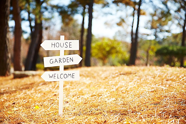 포토 JPG 주간 나무 식물 계절 화살표 아시아 단풍 낙엽 잎 자연 표시 나뭇잎 안내 한국 알림판 풍경 근접촬영 사람없음 야외 아웃포커스 가을풍경 가을 경주 표지판 경상북도 경상도 방향 오브젝트 국내포토 자연요소 나라 뷰포인트 촬영기법 생태계 파일형식 가을_계절