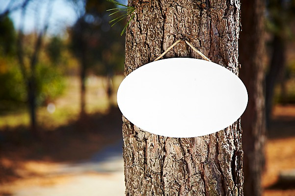 포토 JPG 주간 나무 식물 계절 아시아 단풍 낙엽 잎 자연 나뭇잎 안내 프레임 한국 알림판 풍경 근접촬영 사람없음 야외 아웃포커스 가을풍경 가을 경주 표지판 경상북도 경상도 알림 오브젝트 국내포토 자연요소 나라 뷰포인트 촬영기법 생태계 파일형식 가을_계절