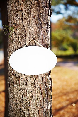 포토 JPG 주간 나무 식물 계절 아시아 단풍 낙엽 잎 자연 나뭇잎 안내 프레임 한국 알림판 풍경 근접촬영 사람없음 야외 아웃포커스 가을풍경 가을 경주 표지판 경상북도 경상도 알림 오브젝트 국내포토 자연요소 나라 뷰포인트 촬영기법 생태계 파일형식 가을_계절