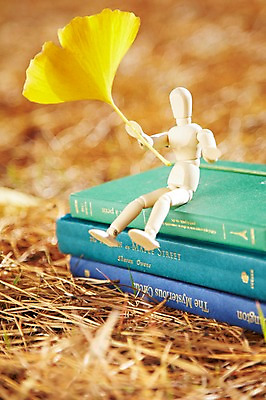 포토 JPG 주간 식물 계절 아시아 인형 단풍 낙엽 잎 자연 나뭇잎 한국 풍경 근접촬영 사람없음 야외 아웃포커스 책 장난감 독서 쌓기 가을풍경 가을 경주 경상북도 경상도 오브젝트 은행잎 나무인형 국내포토 자연요소 나라 뷰포인트 모션 촬영기법 생태계 파일형식 가을_계절