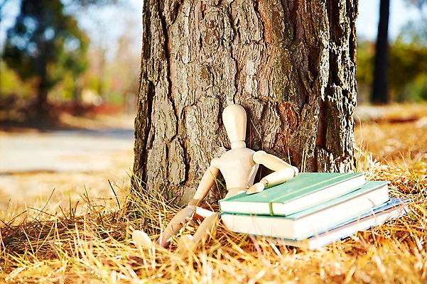 포토 JPG 주간 나무 식물 계절 아시아 인형 단풍 낙엽 잎 자연 나뭇잎 한국 풍경 근접촬영 사람없음 야외 아웃포커스 책 장난감 독서 쌓기 가을풍경 가을 경주 경상북도 경상도 오브젝트 나무인형 국내포토 자연요소 나라 뷰포인트 모션 촬영기법 생태계 파일형식 가을_계절