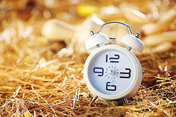 포토 JPG 주간 식물 계절 아시아 인형 시계 단풍 낙엽 잎 자연 나뭇잎 한국 풍경 근접촬영 사람없음 야외 아웃포커스 장난감 가을풍경 자명종 가을 경주 경상북도 경상도 오브젝트 6시 나무인형 국내포토 자연요소 나라 뷰포인트 촬영기법 알람 시간 생태계 파일형식 가을_계절