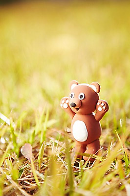 포토 JPG 주간 식물 계절 아시아 인형 단풍 낙엽 잎 곰 자연 나뭇잎 한국 풍경 근접촬영 사람없음 야외 아웃포커스 가을풍경 곰인형 가을 경주 경상북도 경상도 오브젝트 동물인형 국내포토 자연요소 동물 나라 뷰포인트 포유류 촬영기법 생태계 파일형식 가을_계절