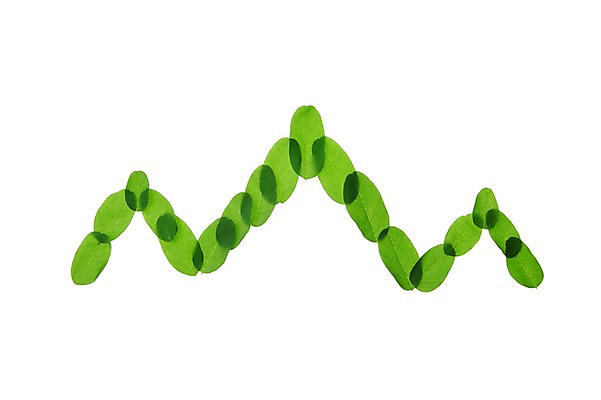 포토 JPG 스튜디오촬영 식물 컬러 백그라운드 컨셉 잎 자연 나뭇잎 실내 누끼 사람없음 초록색 풀 국내포토 내부 생태계 파일형식