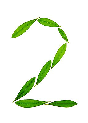 포토 JPG 스튜디오촬영 식물 컬러 백그라운드 컨셉 잎 2 자연 나뭇잎 실내 누끼 사람없음 초록색 숫자 풀 아라비아숫자 국내포토 문자 내부 생태계 파일형식