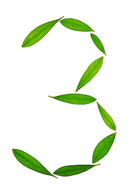 포토 JPG 스튜디오촬영 식물 컬러 백그라운드 컨셉 잎 자연 나뭇잎 실내 3 누끼 사람없음 초록색 숫자 풀 아라비아숫자 국내포토 문자 내부 생태계 파일형식