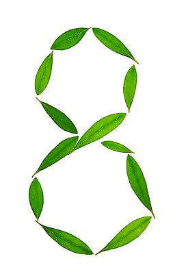 포토 JPG 스튜디오촬영 식물 컬러 백그라운드 컨셉 잎 자연 나뭇잎 실내 누끼 사람없음 초록색 숫자 풀 8 아라비아숫자 팔 국내포토 문자 내부 신체부위 생태계 파일형식