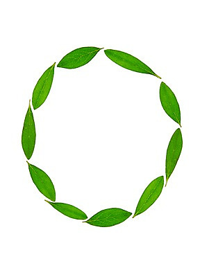 포토 JPG 스튜디오촬영 식물 컬러 백그라운드 컨셉 잎 자연 나뭇잎 실내 누끼 사람없음 초록색 숫자 풀 아라비아숫자 영 국내포토 문자 내부 생태계 파일형식