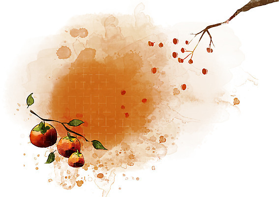 PSD 나무 식물 사계절 계절 열매 백그라운드 낙엽 과일 일러스트 자연 나뭇잎 감 풍경 사람없음 가을 나뭇가지 감나무 자연백그라운드 가을배경 국내일러스트 잎 생태계 파일형식 가을_계절