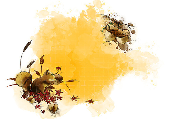 PSD 나무 식물 동물 사계절 계절 열매 백그라운드 단풍 낙엽 일러스트 자연 나뭇잎 풍경 사람없음 가을 나뭇가지 풀 다람쥐 자연백그라운드 도토리 가을배경 국내일러스트 잎 견과류 설치류 생태계 파일형식 가을_계절