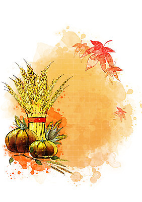 PSD 식물 사계절 계절 백그라운드 단풍 낙엽 채소 일러스트 자연 호박 나뭇잎 옥수수 풍경 사람없음 농작물 벼 가을 자연백그라운드 이삭 가을배경 국내일러스트 잎 농업 곡류 생태계 파일형식 가을_계절