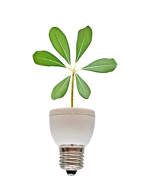 포토 JPG 해외이미지 나무 식물 화초 잎 사람없음 초록색 경제 새싹 에너지 램프 절약 닫기 보호 냄비 발사 흰배경 형광등 야광 고립 생태학 해외202004 해외포토 교육 컬러 백그라운드 컨셉 모션 전등 조명 빛 흰색 솥 파일형식 이미지허브