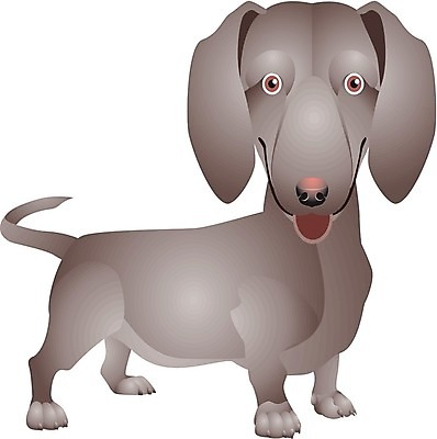 EPS 해외이미지 클립아트 동물 캐릭터 손 디자인 행복 일러스트 포유류 털 대화 미술 서기 앉기 그래픽 반려동물 갈색 개 달콤 강아지 시원함 만화 즐거움 그림 꼬리 클립 보여주기 해외202004 해외일러스트 일러캐릭터 감정 컬러 모션 문화예술 말하기 신체부위 맛 파일형식 벡터 이미지허브