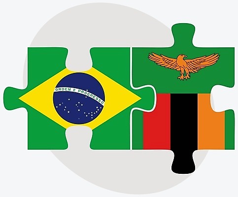 EPS 해외이미지 조각 컨셉 일러스트 관계 아프리카 협력 함께함 사람 그래픽 3D 깃발 퍼즐 연결 결합 접속 오브젝트 흰배경 나눔 브라질 해결 고립 잠비아 전국 정부 정치 통일 브라질사람 해외202004 해외일러스트 나라 백그라운드 흰색 남아메리카 디지털합성 파일형식 벡터 이미지허브