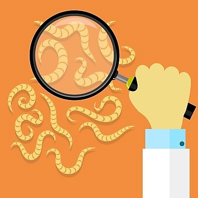 EPS 해외이미지 동물 손 디자인 과학 신체 일러스트 해부 자연 유리 건강 사람 약 흰색 원형 벌레 질병 위험 작음 심볼 생물학 심플 감염 애벌레 기생충 나쁜 돌봄 위생관리 해외202004 해외일러스트 도형 교육 컬러 곤충 컨셉 의학 모션 재질 관리 신체부위 바이러스 크기 생태계 파일형식 벡터 이미지허브