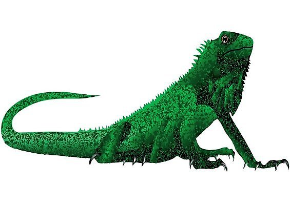 EPS 해외이미지 동물 척추동물 야생동물 일러스트 파충류 자연 야외 초록색 반려동물 흰색 숲 눈금 도마뱀 이구아나 스파이크 게으름 고립 특별함 해외202004 해외일러스트 컬러 컨셉 생태계 파일형식 벡터 이미지허브