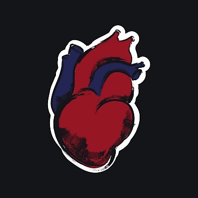 EPS 해외이미지 클립아트 디자인 과학 셔츠 티셔츠 신체 일러스트 해부 건강 사람 내부 약 하트 죽음 혈액 오르간 떨어짐 인쇄 만화 스케치 문신 심볼 사인 그림 생물학 손그림 동맥 정맥 고립 그런지 심장병 엘리먼트 스타일 해외202004 해외일러스트 모양 교육 컨셉 상의 의학 미술 건반악기 질병 혈관 파일형식 벡터 이미지허브