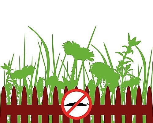 EPS 해외이미지 식물 동물 꽃 실루엣 백그라운드 일러스트 경고 목재 그래픽 빨간색 초록색 울타리 갈색 정원 검은색 금지 벚꽃 흰색 해충 사인 달팽이 펜싱 고립 민달팽이 주목 해외202004 해외일러스트 나무 스포츠 컬러 재료 연체동물 촬영기법 담장 벌레 파일형식 벡터 달팽이_동물 이미지허브