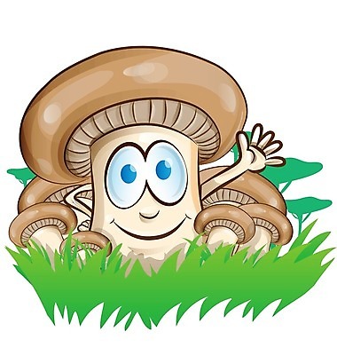 EPS 해외이미지 클립아트 캐릭터 배너 행복 얼굴 음식 채소 일러스트 자연 그래픽 버섯 공백 표현 입 그룹 숲 만화 즐거움 오브젝트 그림 곰팡이 마스코트 채식주의자 해외202004 해외일러스트 일러캐릭터 감정 신체부위 생태계 채식 파일형식 벡터 이미지허브