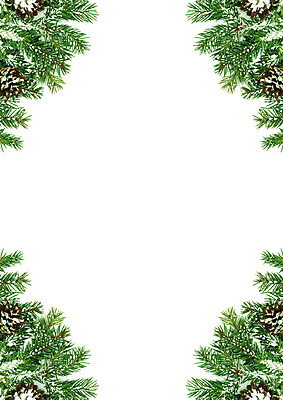 포토 JPG 해외이미지 나무 식물 백그라운드 크리스마스 겨울 자연 휴가 새로움 새해 프레임 사람없음 장식 초록색 축제 추위 흰색 나뭇가지 축하 눈송이 숲 연도 정사각형 뼈대 상록수 침엽수 전나무 원뿔 내추럴 고립 구성 가문비나무 해외202004 해외포토 도형 계절 기념일 컬러 컨셉 눈_날씨 생태계 파일형식 이미지허브
