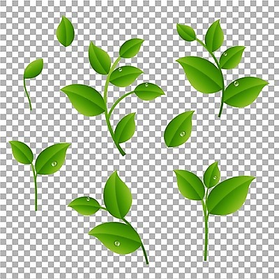 EPS 해외이미지 식물 배너 공원 포스터 백그라운드 잎 패턴 밭 일러스트 자연 벽지 놀이 추상 프레임 잔디 야외 목재 가로 초록색 환경 축구 봄 활발 흰색 나뭇가지 신선 보호 허브 오브젝트 원예 질감 심플 내추럴 고립 해외202004 해외일러스트 나무 계절 공공시설 컬러 컨셉 무늬 농업 재료 취미 구기 생태계 파일형식 벡터 이미지허브