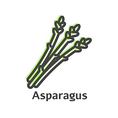 EPS 해외이미지 식물 손 디자인 계절 음식 줄기 다이어트 채소 일러스트 재료 자연 건강 요리 씨앗 목재 그래픽 초록색 세계 농장 마을 주방 봄 샐러드 수확 흰색 시골 신선 시장 농부 상품 다발 먹기 심볼 유기농 아스파라거스 고립 숙성 채식주의자 해외202004 해외일러스트 나무 직업 웰빙 컬러 농업 모션 신체부위 생태계 채식 파일형식 벡터 이미지허브