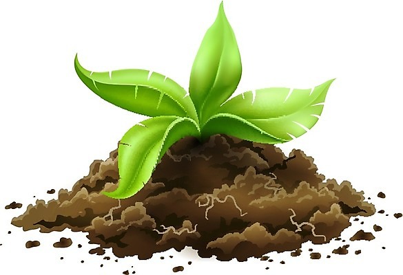 EPS 해외이미지 식물 1 계절 줄기 백그라운드 컨셉 잎 꽃무늬 농업 일러스트 자연 초록색 새싹 정원 흙 봄 성장 흰색 신선 작음 발사 언덕 오브젝트 싱글 원예 상승 뿌리 먼지 내추럴 고립 땅바닥 모종 생태학 처음 그리너리 세련 해외202004 해외일러스트 교육 꽃 산업 컬러 무늬 바닥 취미 크기 생태계 파일형식 벡터 트랜드컬러 이미지허브