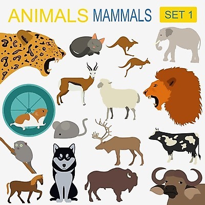 EPS 해외이미지 동물 디자인 실루엣 야생동물 일러스트 포유류 자연 사슴 코끼리 동물원 사람없음 그래픽 반려동물 세트 양 소 개 쥐 숲 사자 만화 들소 수집 심볼 사파리 사인 황소 영양 육식동물 캥거루 표범 고립 동물상 순록 여우원숭이 해외202004 해외일러스트 촬영기법 조형물 원숭이 설치류 생태계 파일형식 벡터 이미지허브