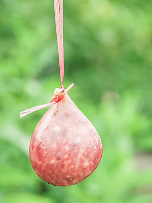 포토 JPG 해외이미지 전통 줄 음식 건조 육류 돼지고기 요리 사람없음 목재 주방 식사 저녁식사 소고기 신선 소시지 시장 맛 아침식사 상품 몸무게 자르기 먹기 베이컨 훈제 살라미 식품점 절임 치유 해외202004 해외포토 나무 컨셉 식재료 재료 모션 상점 가공식품 파일형식 이미지허브