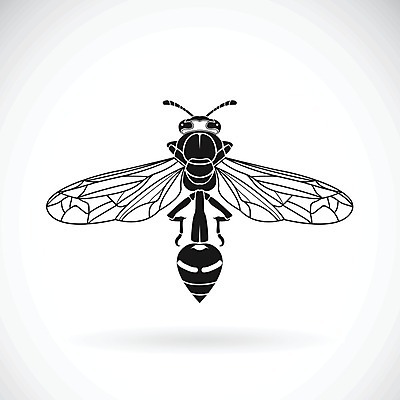 EPS 해외이미지 동물 손 디자인 실루엣 야생동물 선 곤충 백그라운드 날개 일러스트 자연 건강 미술 사람없음 그래픽 여름 검은색 줄무늬 재킷 흰색 플랫 해충 둥지 말벌 위험 작음 스케치 벌 심볼 사인 그림 날카로움 꿀 찌르기 토막 고립 도예가 현실 해외202004 해외일러스트 직업 계절 컬러 컨셉 무늬 모션 문화예술 촬영기법 신체부위 외투 벌레 벌_곤충 크기 생태계 파일형식 벡터 이미지허브