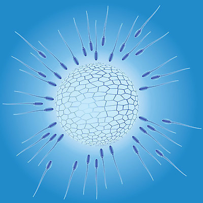 EPS 해외이미지 모델 여자 교육 남자 과학 일러스트 해부 가족 모션 성공 엄마 새로움 생물 세포 건강 사람 파란색 약 계란 경쟁 임신 우승 아빠 유기농 생물학 태아 인공 해외202004 해외일러스트 웰빙 컬러 컨셉 의학 관계 알 최고 파일형식 벡터 이미지허브