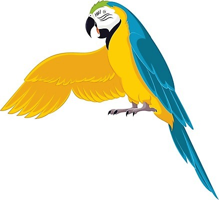 EPS 해외이미지 동물 행복 야생동물 백그라운드 날개 일러스트 자연 조류 생물 동물원 파란색 반려동물 컬러풀 노란색 흰색 인사 열대우림 만화 깃털 그림 꼬리 부리 앵무새 고립 동물상 아마존 이국적 해외202004 해외일러스트 감정 컬러 조형물 예절 숲 생태계 파일형식 벡터 이미지허브