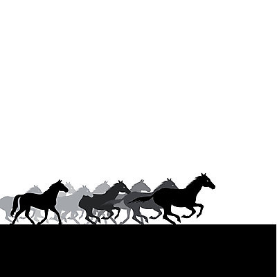 EPS 해외이미지 동물 실루엣 일러스트 자연 뿔 달리기 점프 검은색 어둠 힘 승마 킥 군중 야간 만화 꼬리 윤곽 갈기 당나귀 내추럴 망아지 반항 동물상 방목장 해외202004 해외일러스트 자연요소 새끼 스포츠 컬러 모션 촬영기법 사람 조형물 말 생태계 파일형식 벡터 이미지허브